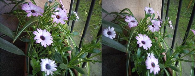 a.ivančica